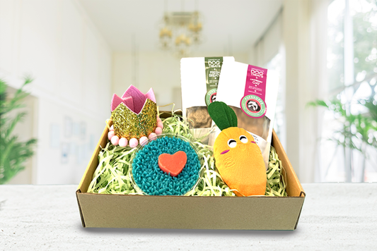 Celebrate Your Pupās Special Day with the Barkday Box!