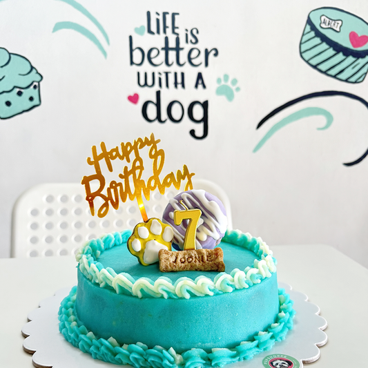 š¶ Top 3 Dog Cake Flavors ā Pup-Approved by Pupshoppe!