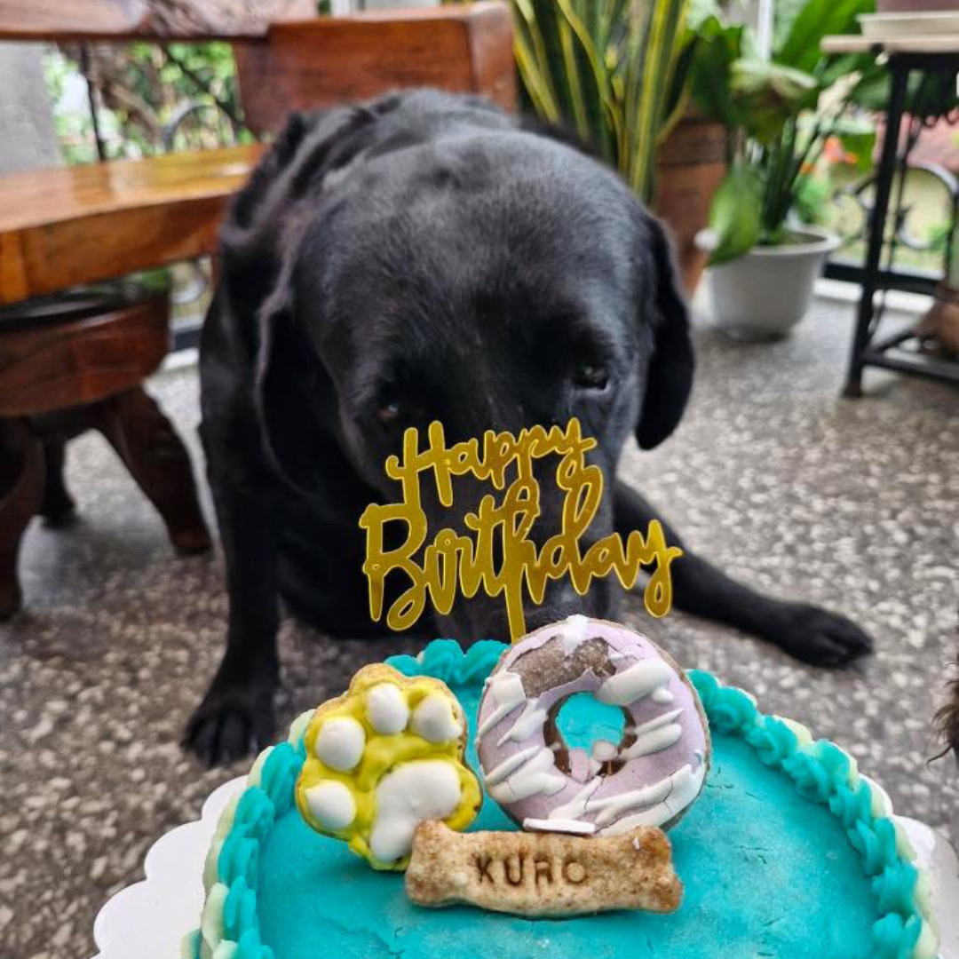 Donut & Paw Big Cake for Dogs