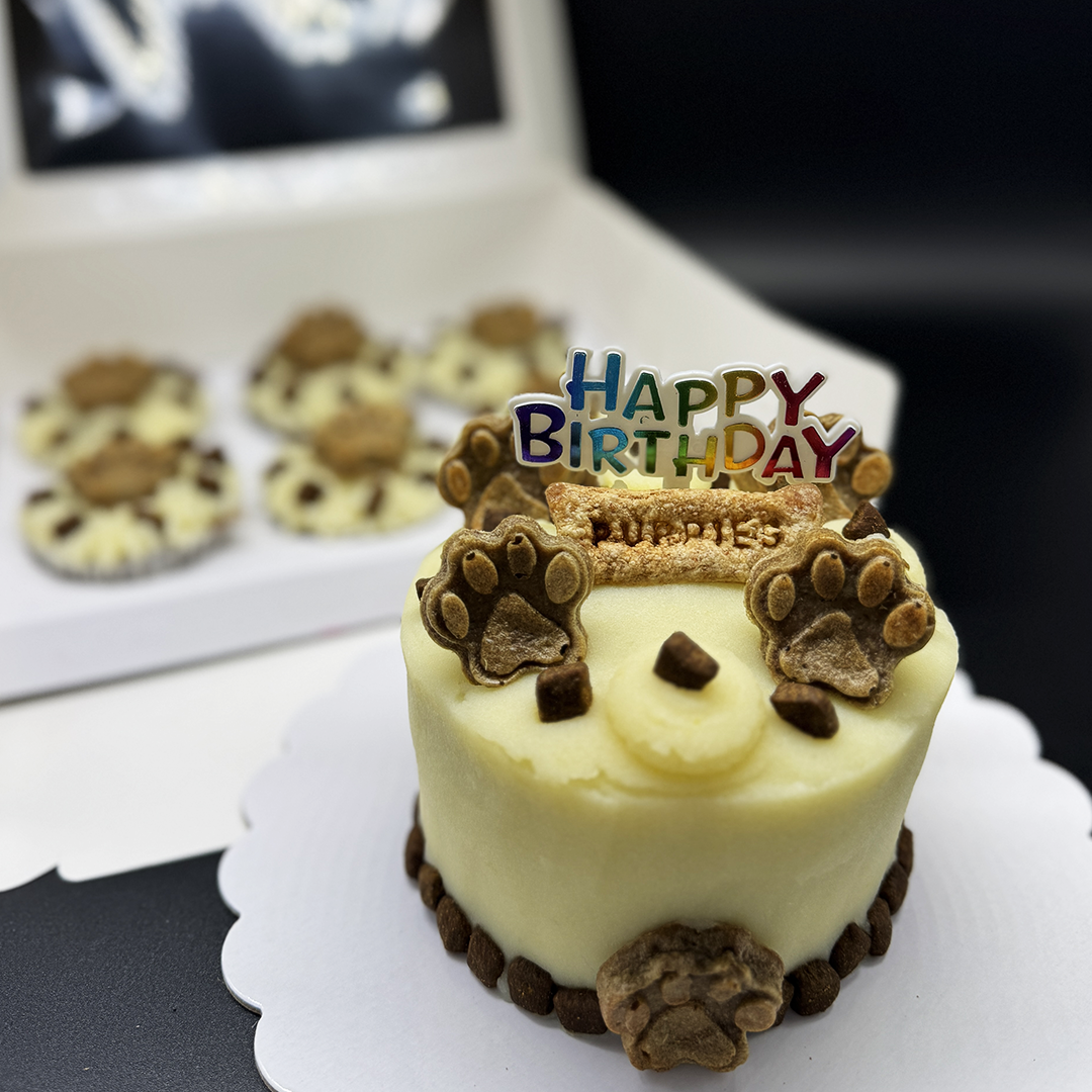 2-Layer Paw Cake with 6pc Cupcakes