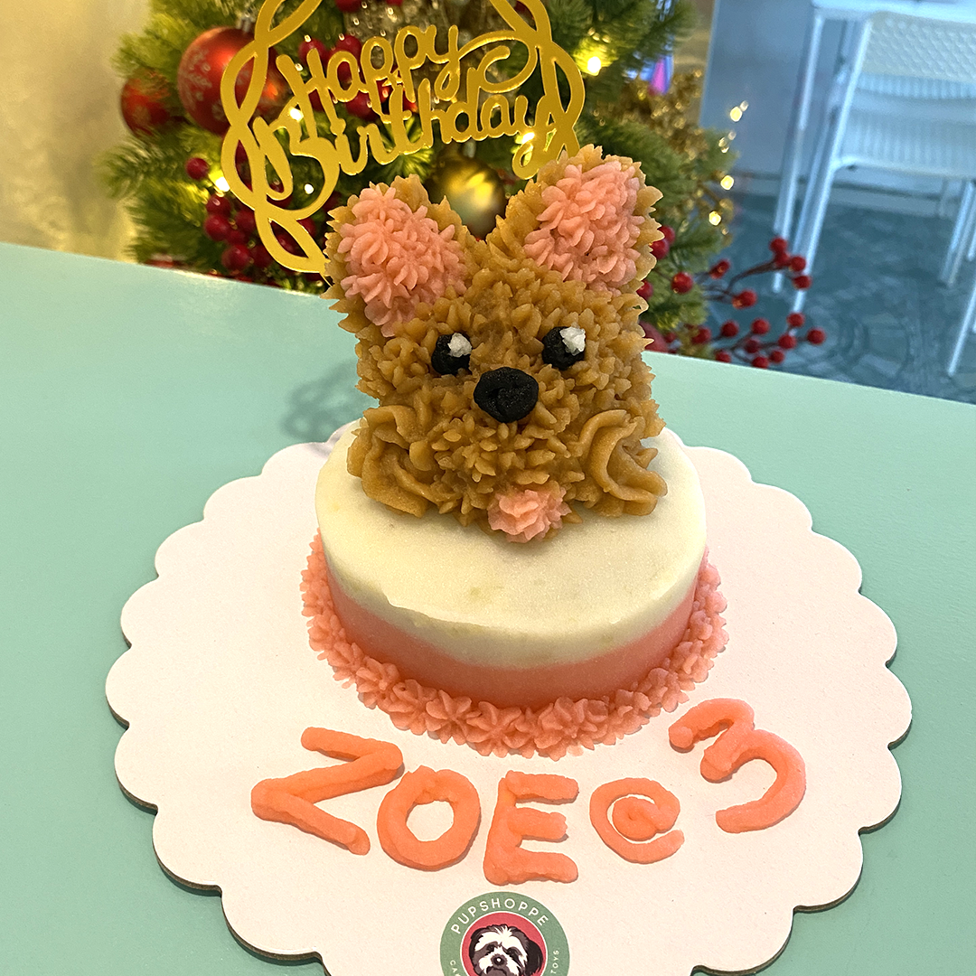 Pet 3D Cake 🐶