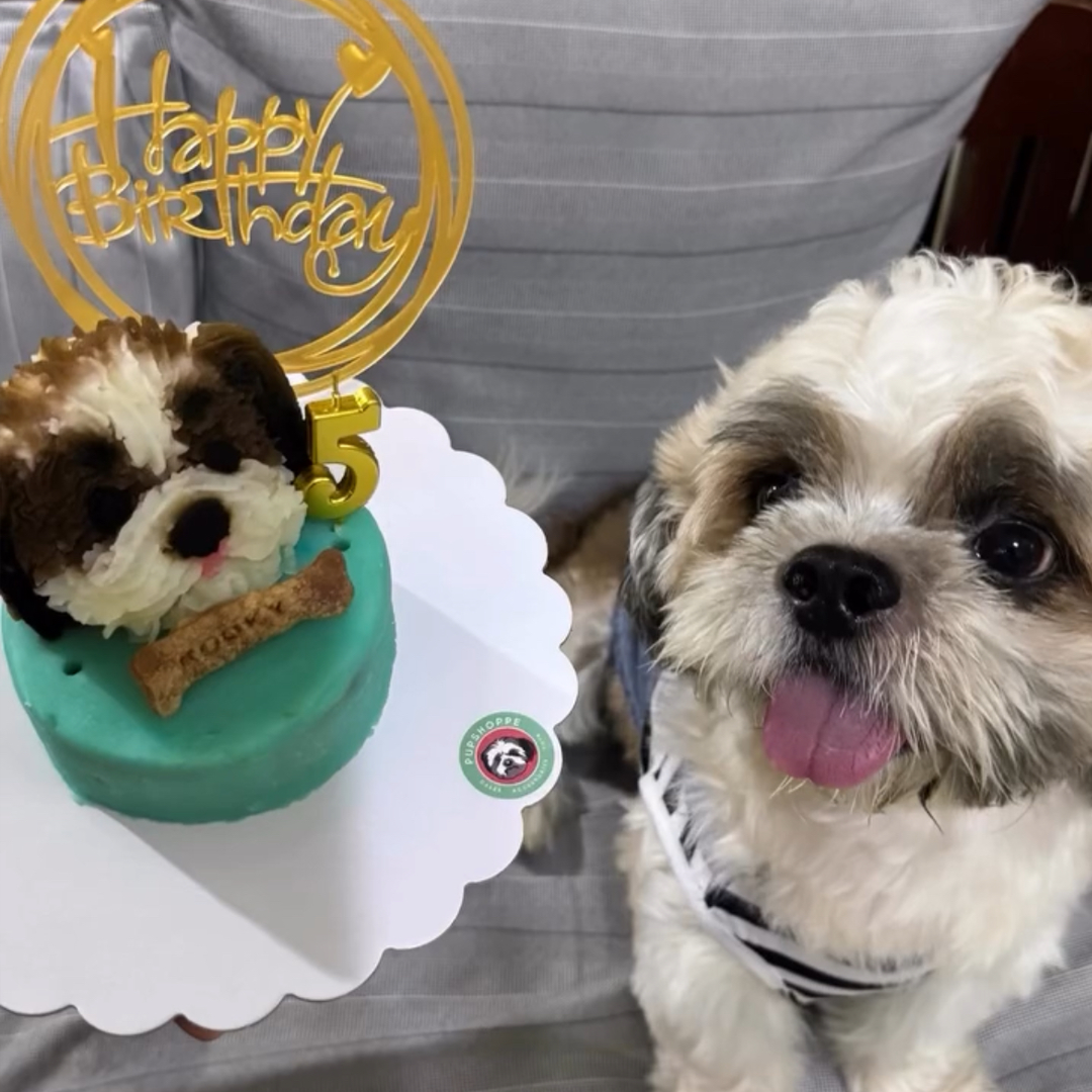Pet 3D Cake 🐶
