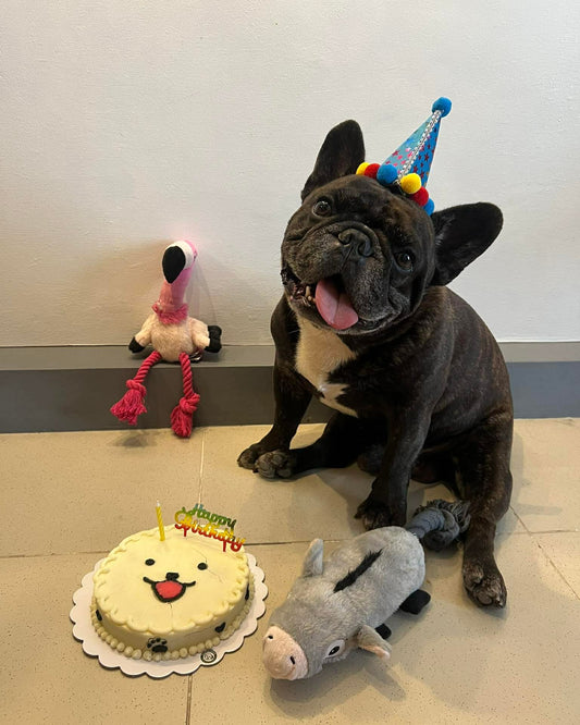 Grab & Go Minimalist Doggo Cake