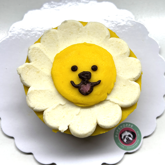 Sunshine Doggo Cake