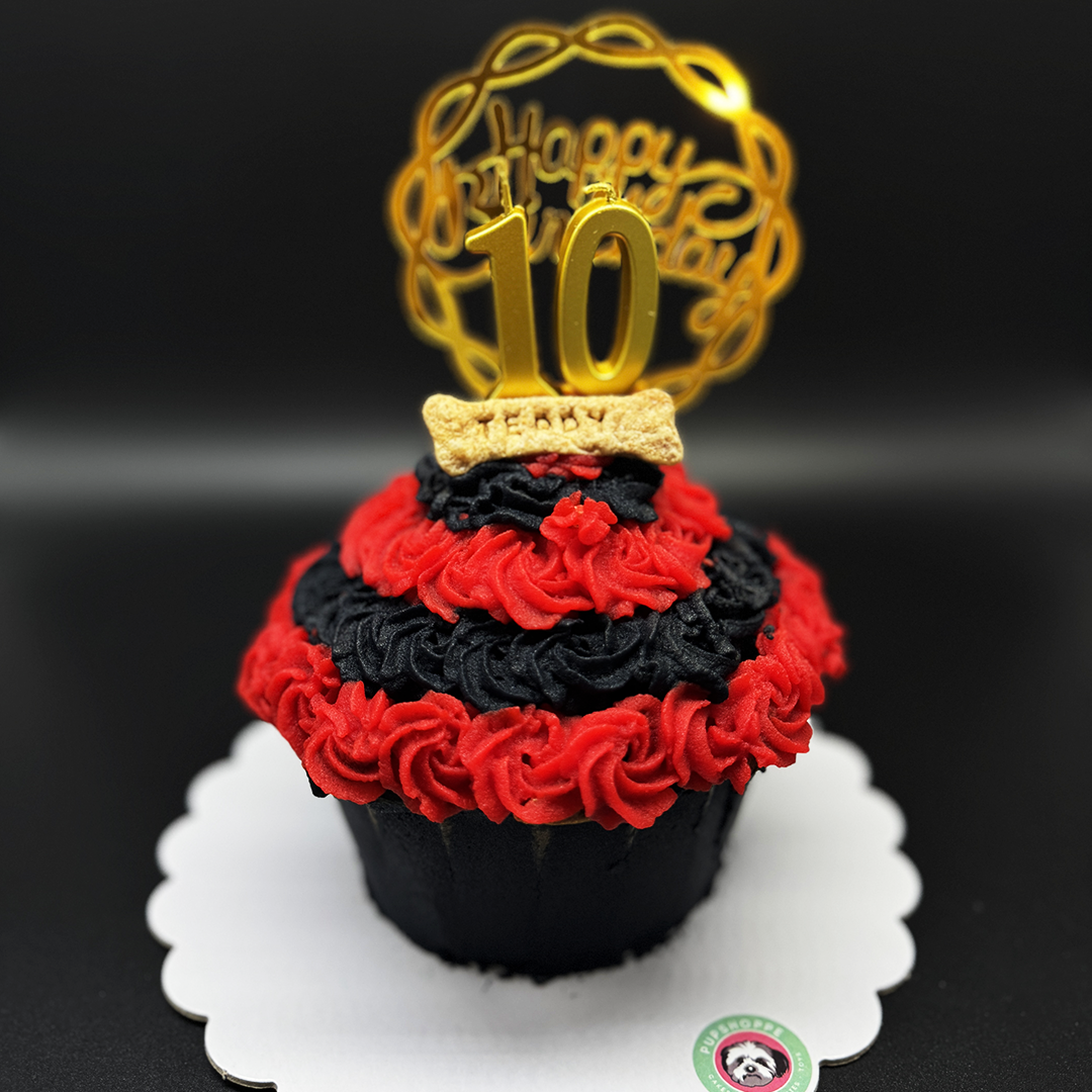 Giant Cupcake for Dogs