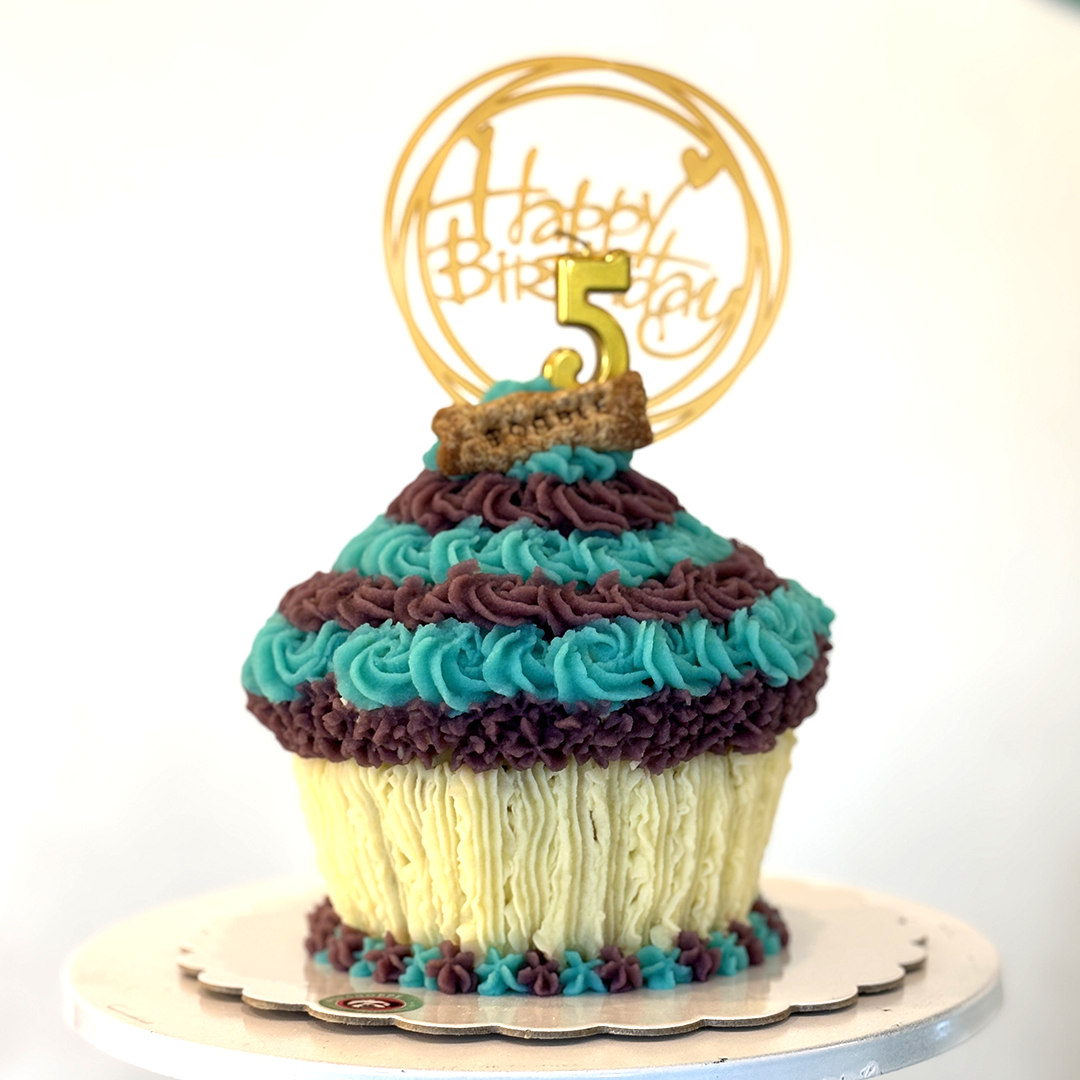 Giant Cupcake for Dogs