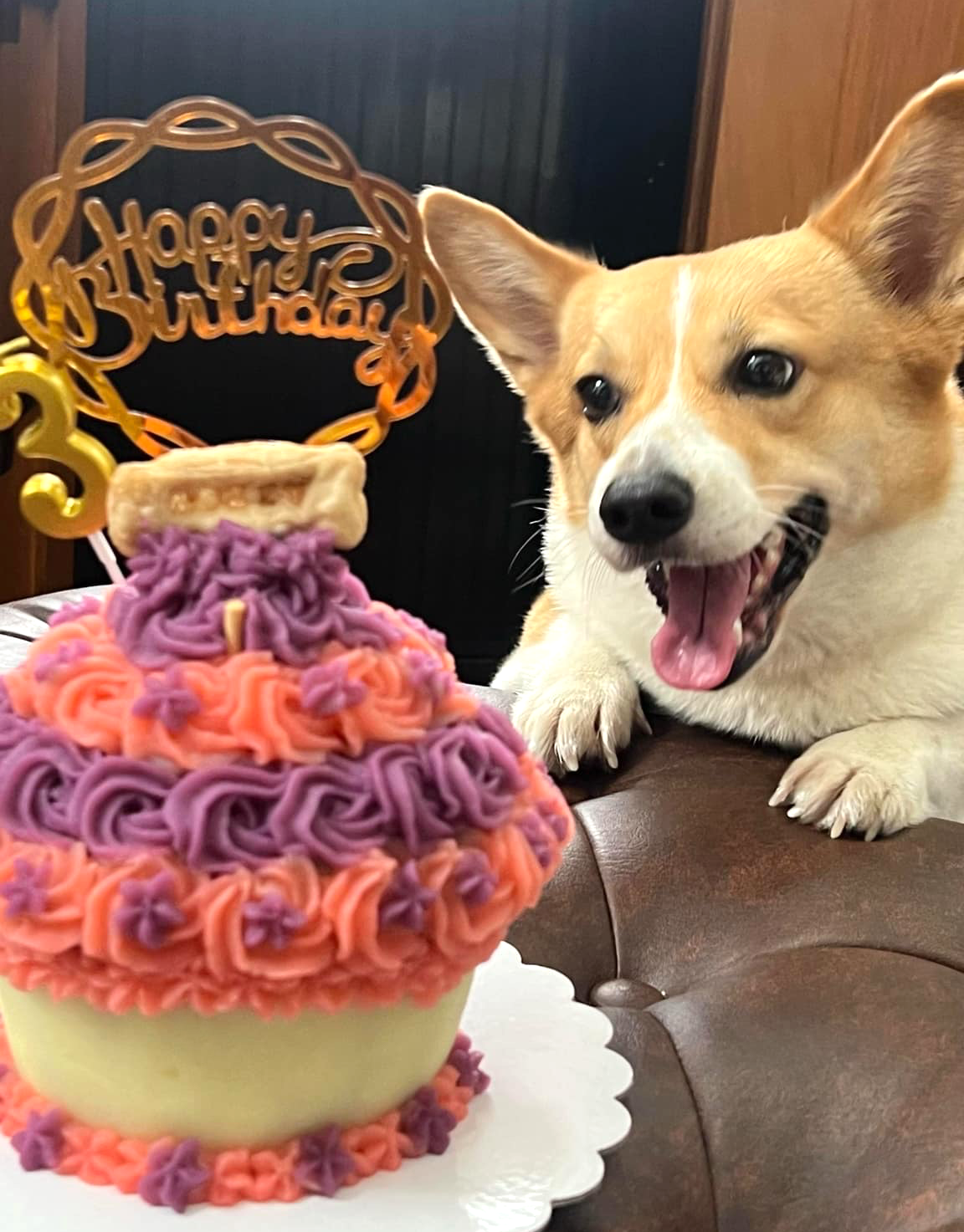 Giant Cupcake for Dogs
