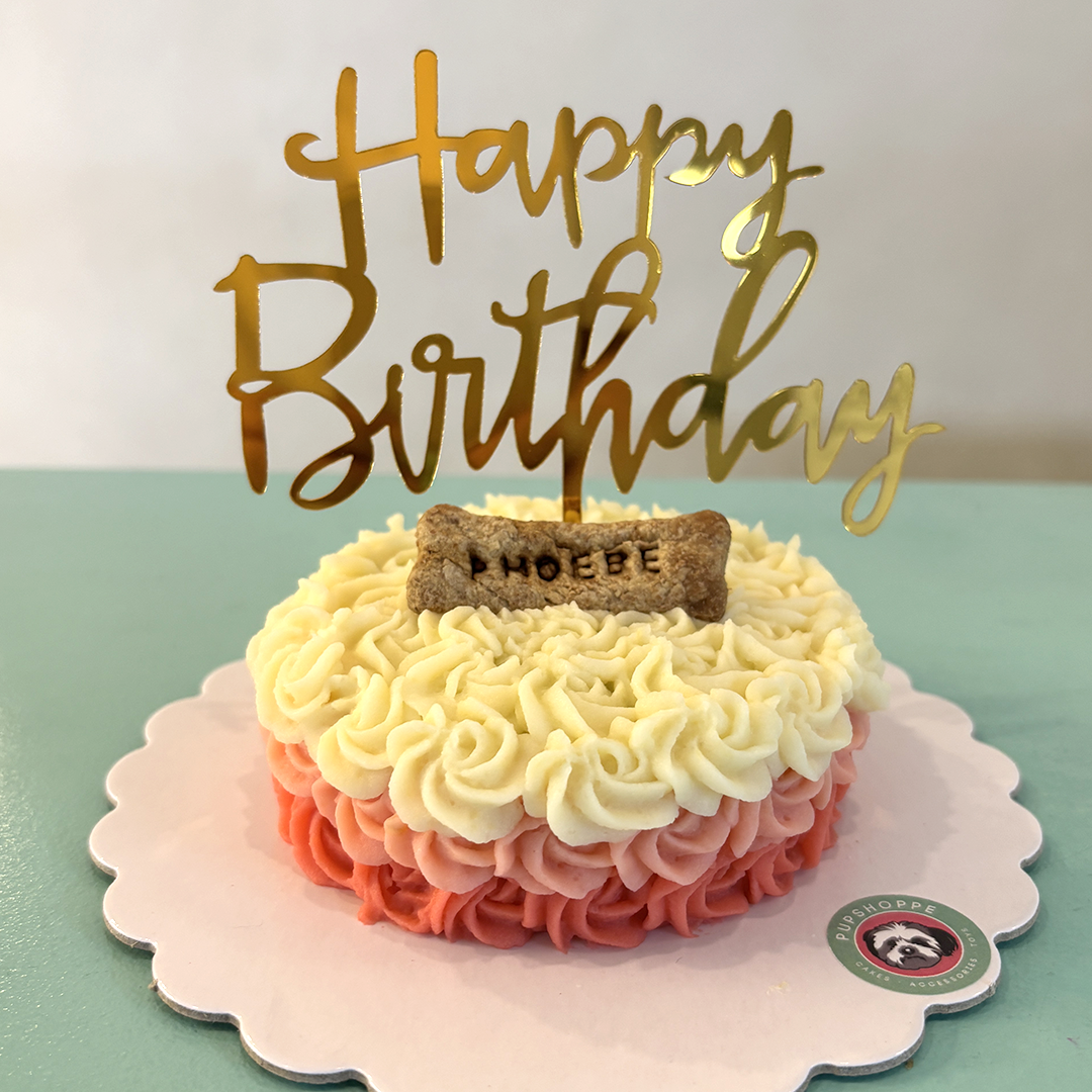 Ombre Roses Dog Cake
