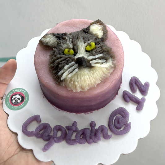 Pet Portrait Cake (Sketch Style for Short Hair) 🎨