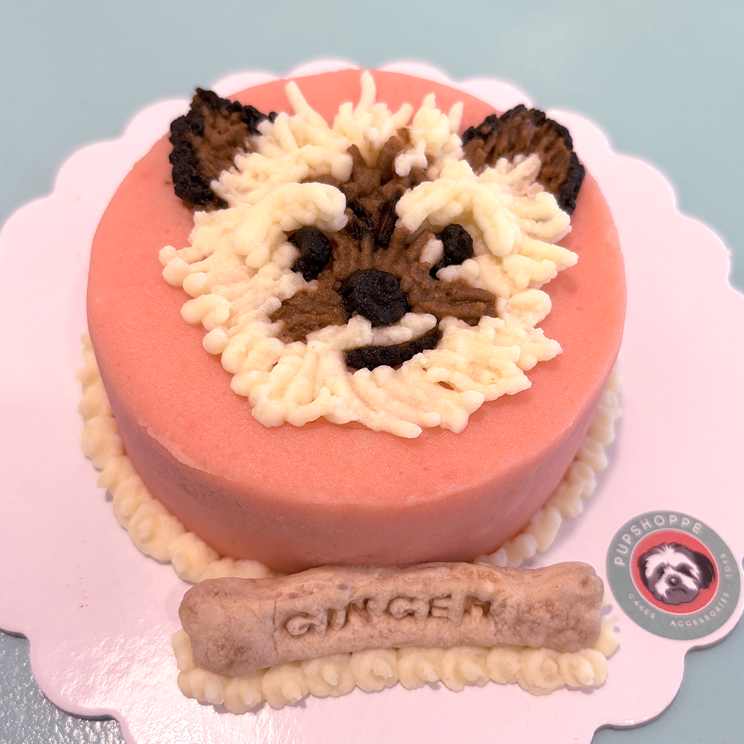 Pet Portrait Cake (Sketch Style) 🎨