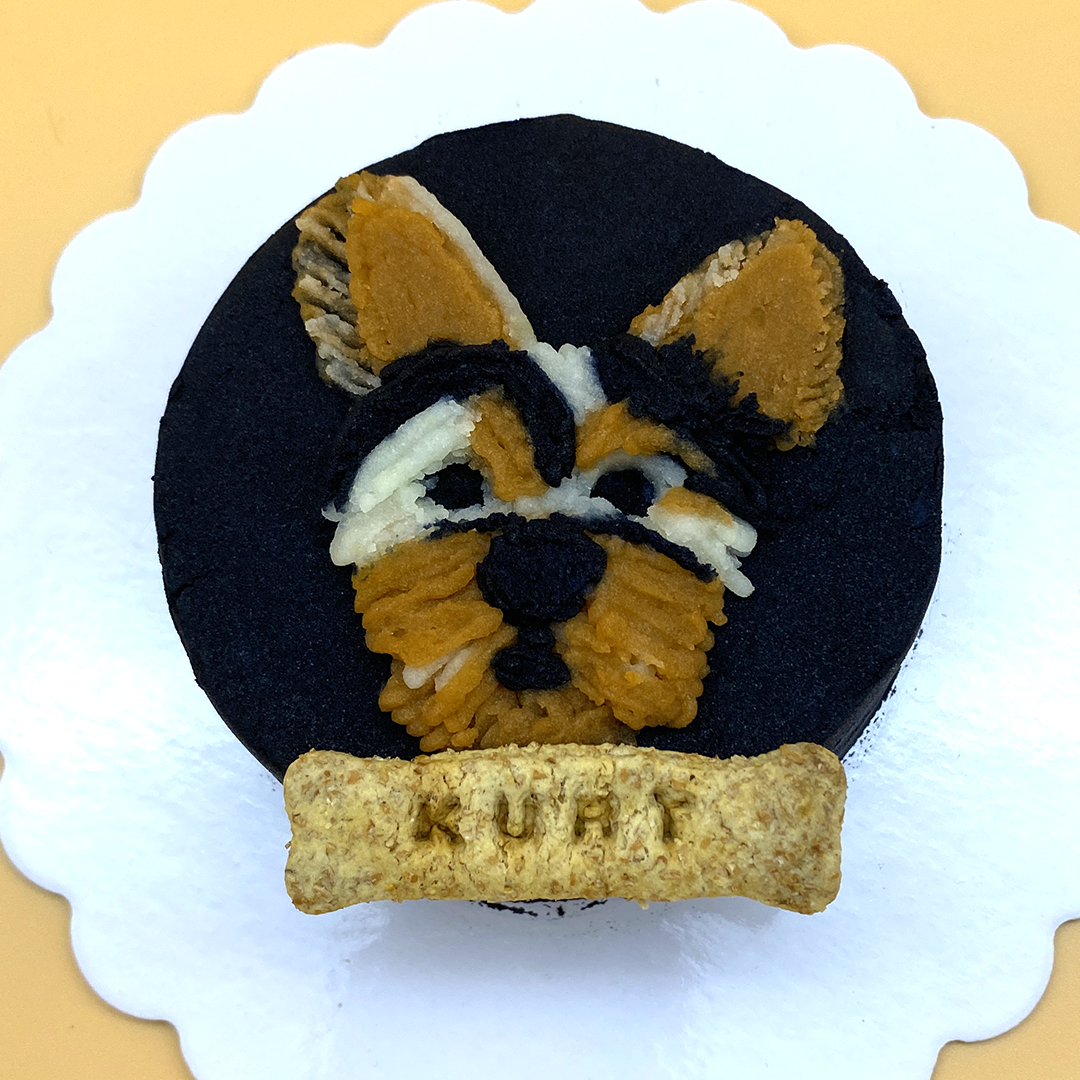 Pet Portrait Cake (Sketch Style) 🎨