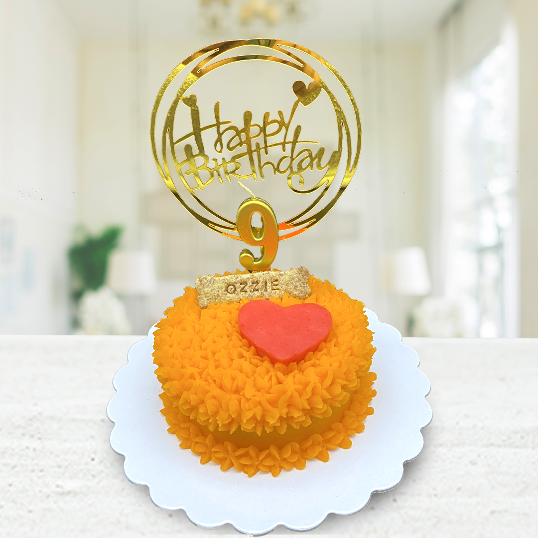 Small Dog Cake Heart Design