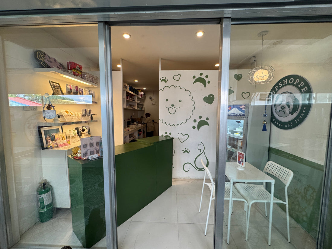 Where to Buy Dog Cake in Parañaque City