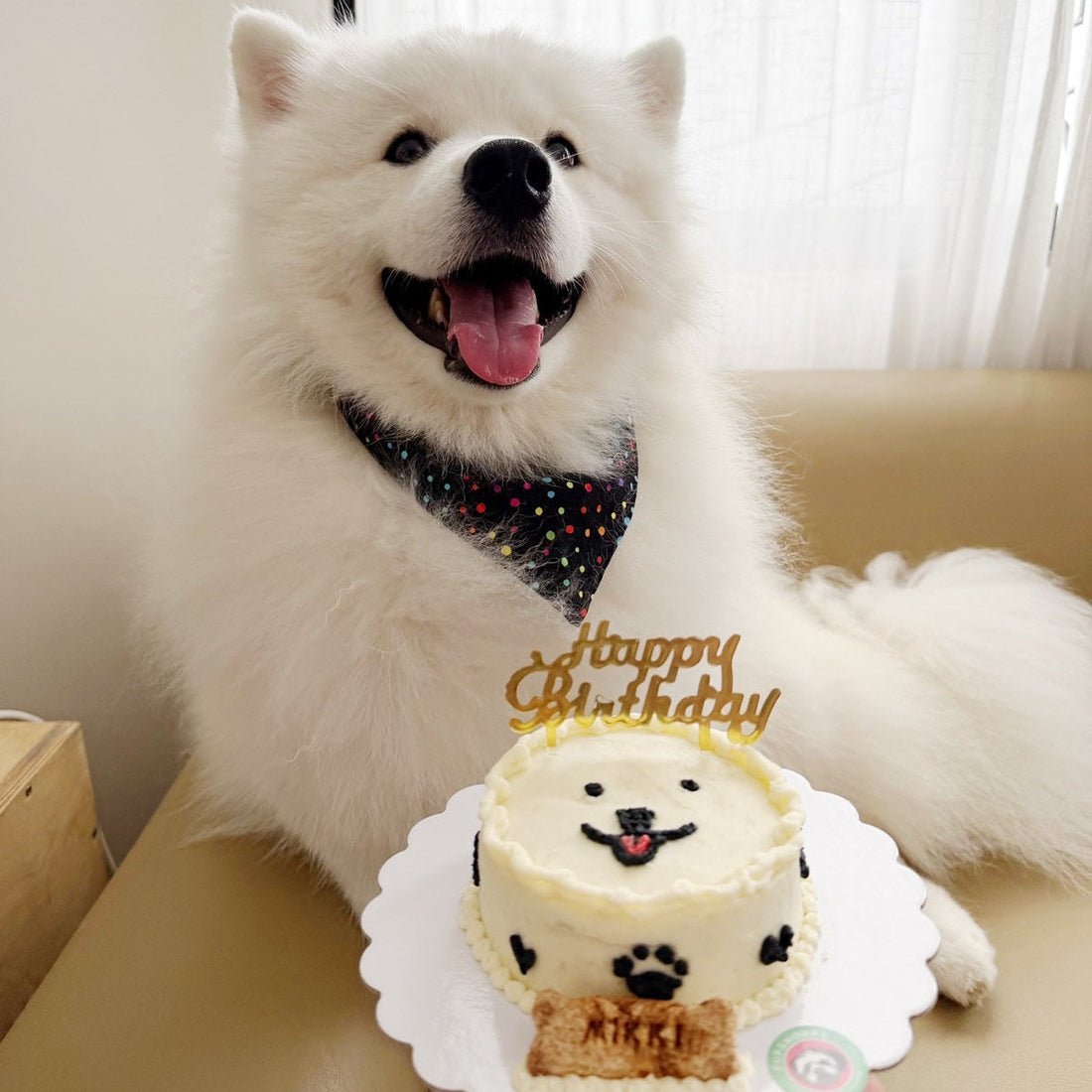 Are Dog Cakes Safe? What Goes Into a Pupshoppe Cake