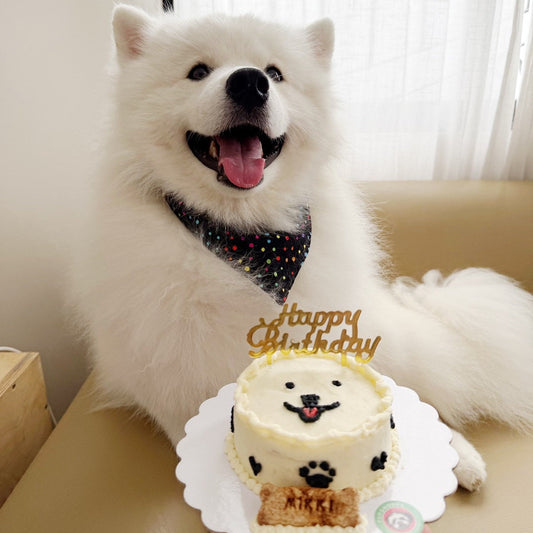 Are Dog Cakes Safe? What Goes Into a Pupshoppe Cake