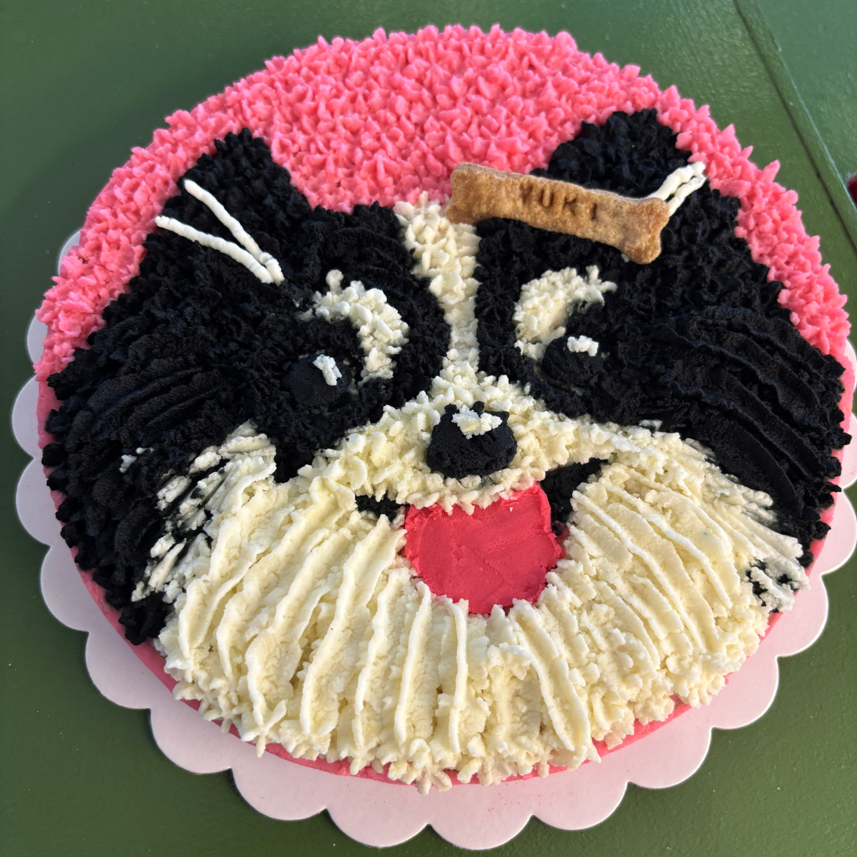 Pet Portrait Full Face Big Cake