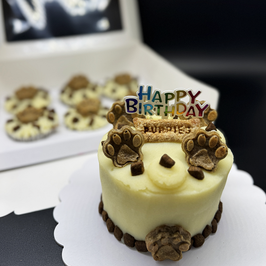 2-Layer Paw Cake with 6pc Cupcakes