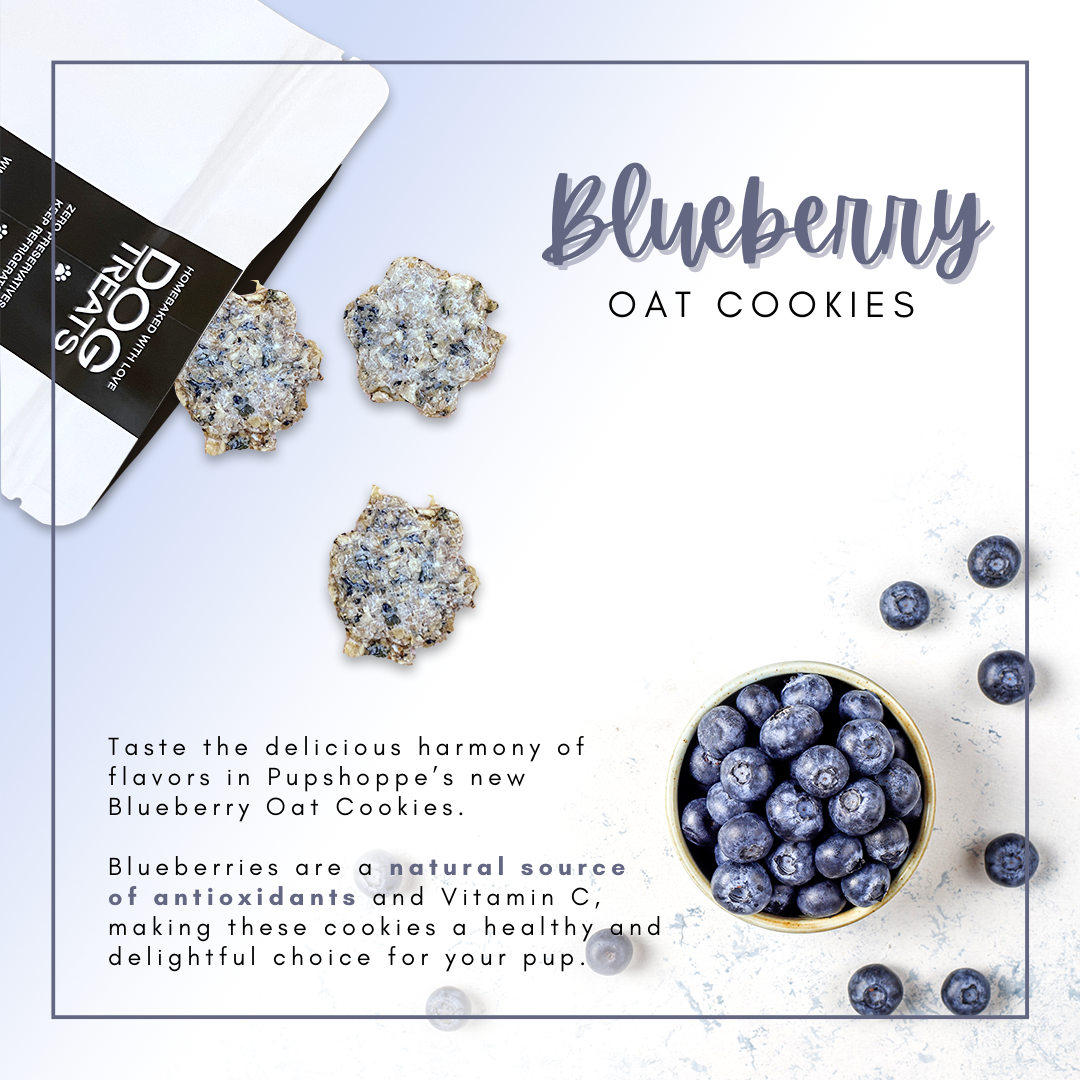 Blueberry Oat Dog Cookies 50g