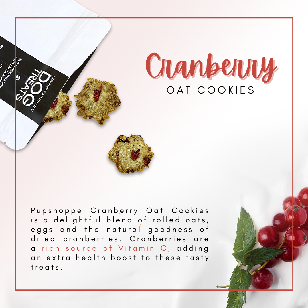 Cranberry Oat Dog Cookies 50g