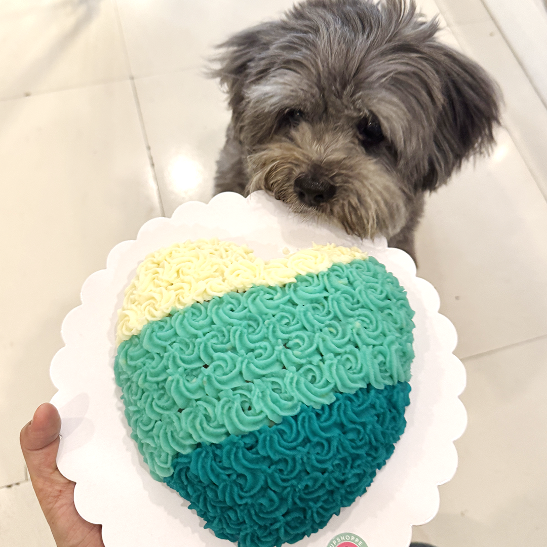 Big Heart Dog Cake