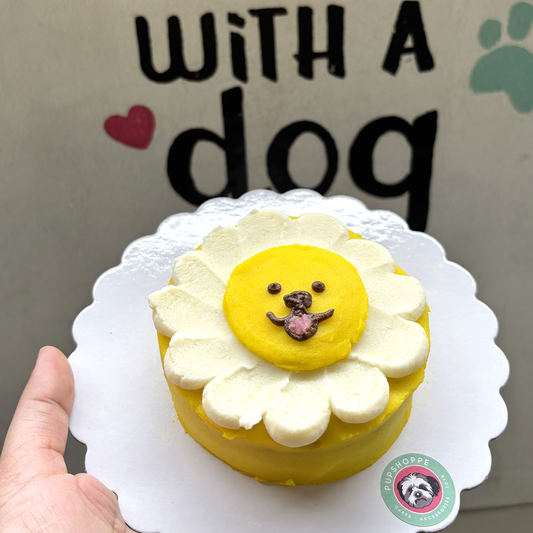 Sunshine Doggo Cake