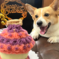 Giant Cupcake for Dogs