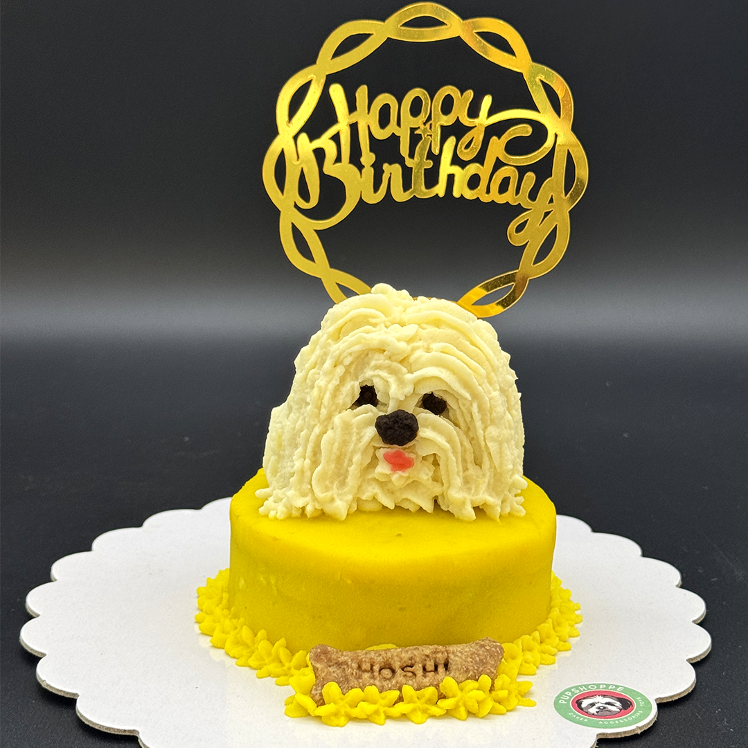 Pet 3D Cake 🐶