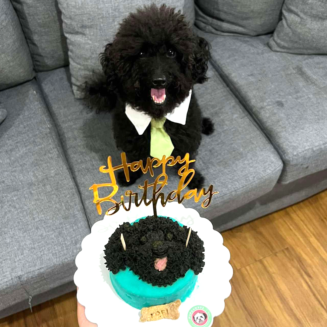 Pet Portrait Cake