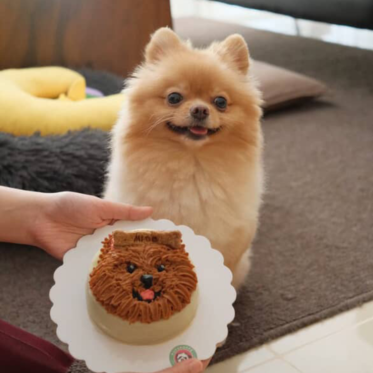 Pet Portrait Cake
